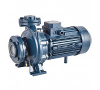Консольно-моноблочный фланцевый насос PURITY PSTC 100-200/300 (N)